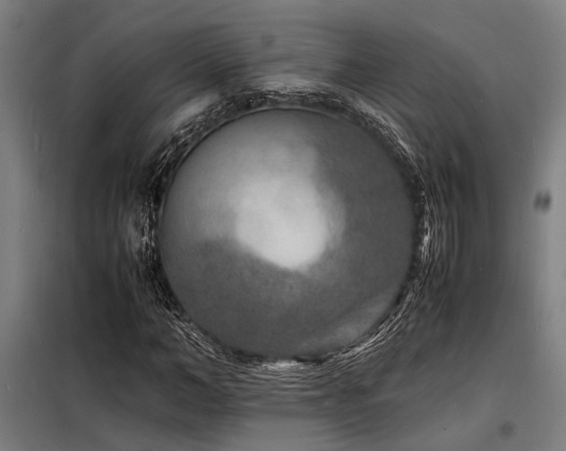 X0000098180966200804241218