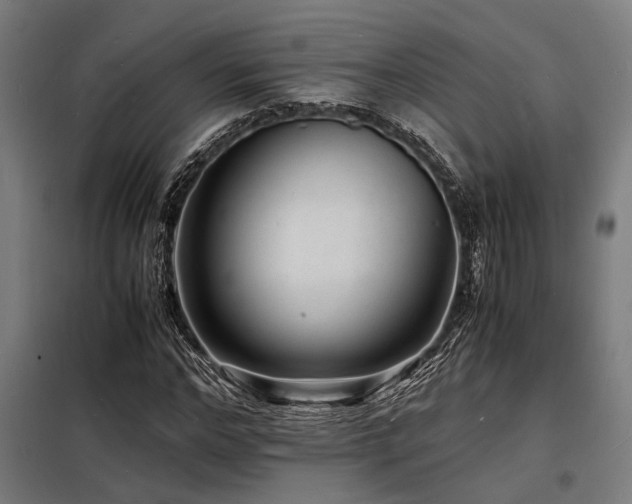X0000098180968200804241218