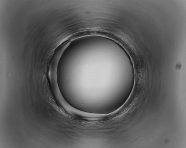 X0000098180969200804241217