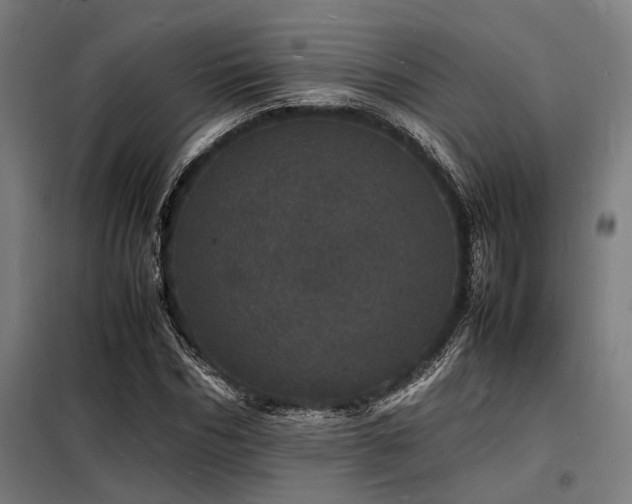 X0000098180970200804241217
