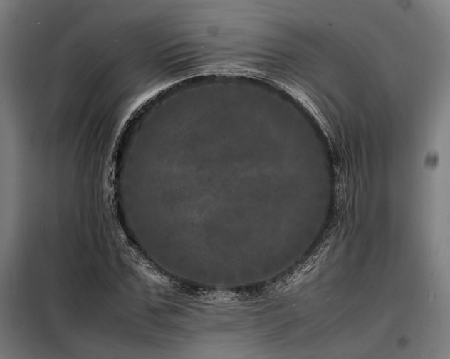 X0000098180971200804241217