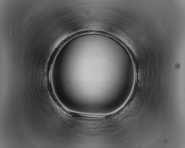 X0000098180972200804241217
