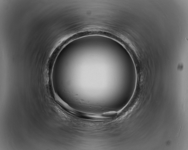 X0000098180973200804241217