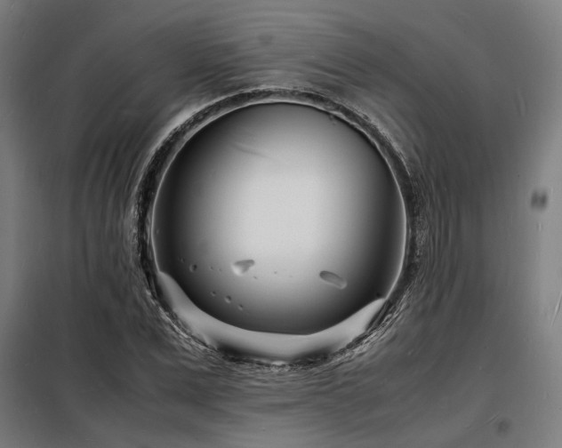 X0000098180975200804241217