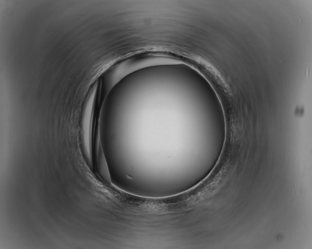 X0000098180977200804241217