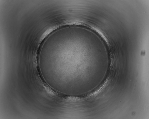 X0000098180978200804241217