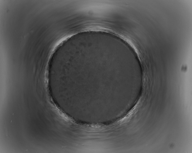 X0000098180979200804241217