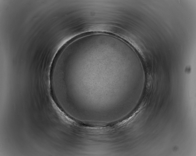 X0000098180980200804241217