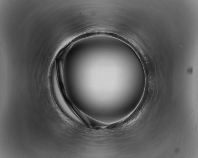 X0000098180981200804241217