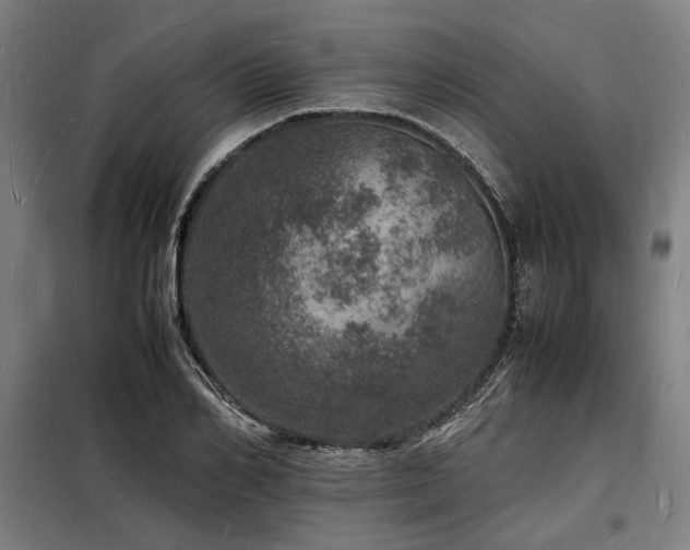 X0000098180982200804241217