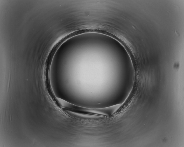 X0000098180983200804241217