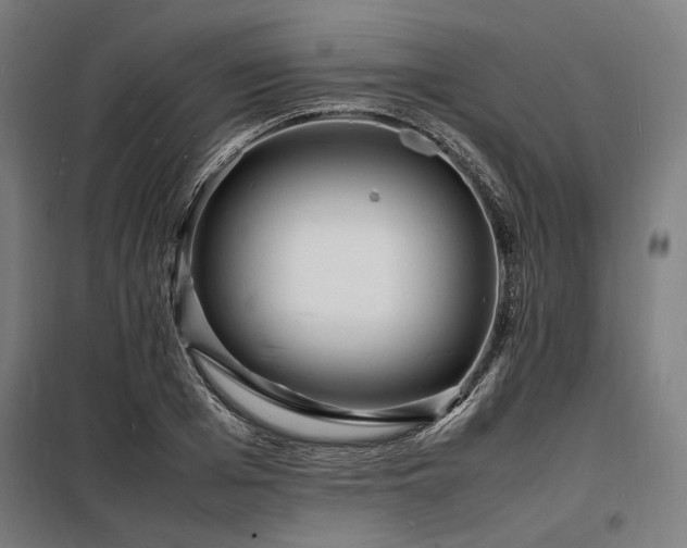 X0000098180985200804241217