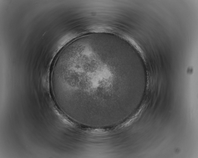 X0000098180986200804241217