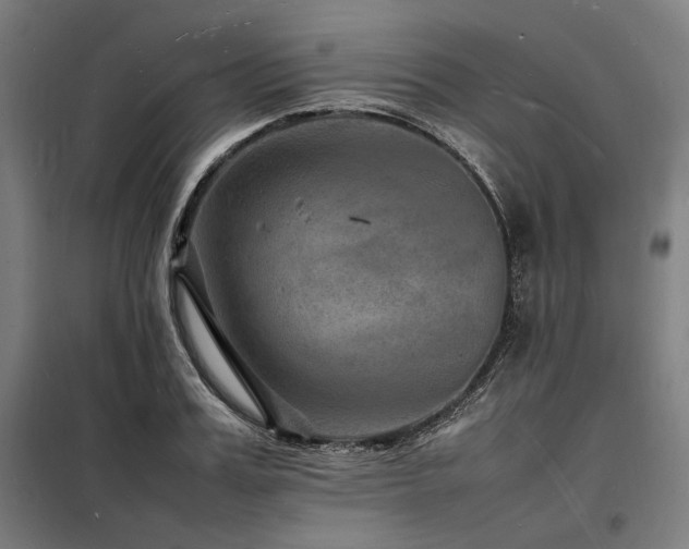 X0000098180987200804241217