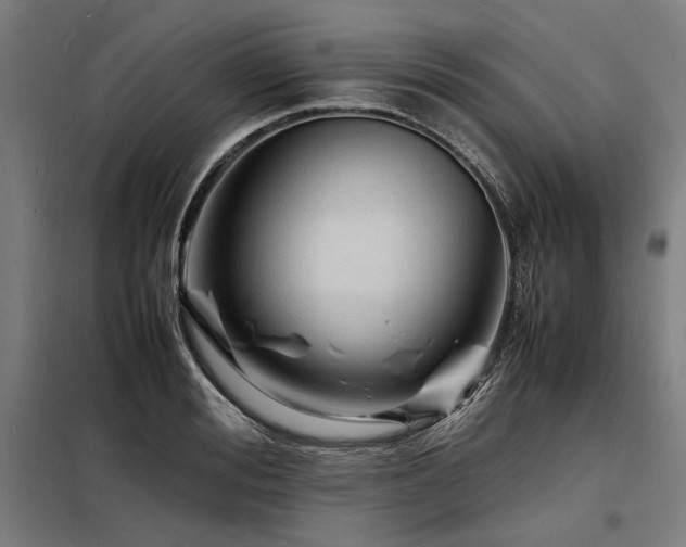 X0000098180988200804241217
