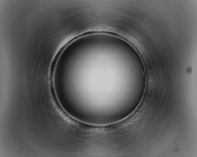 X0000098180990200804241217