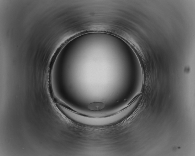 X0000098180992200804241217