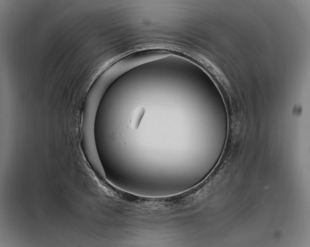 X0000098180993200804241217