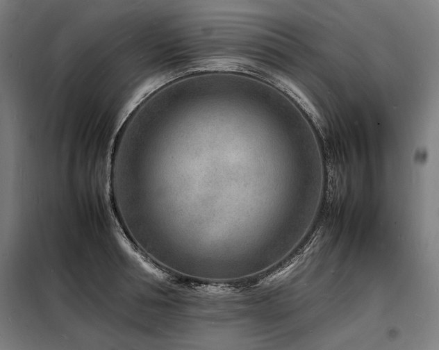 X0000098180994200804241217