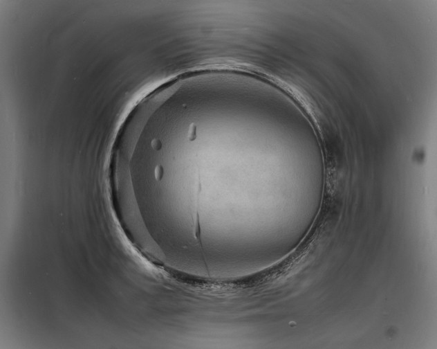 X0000098180995200804241217