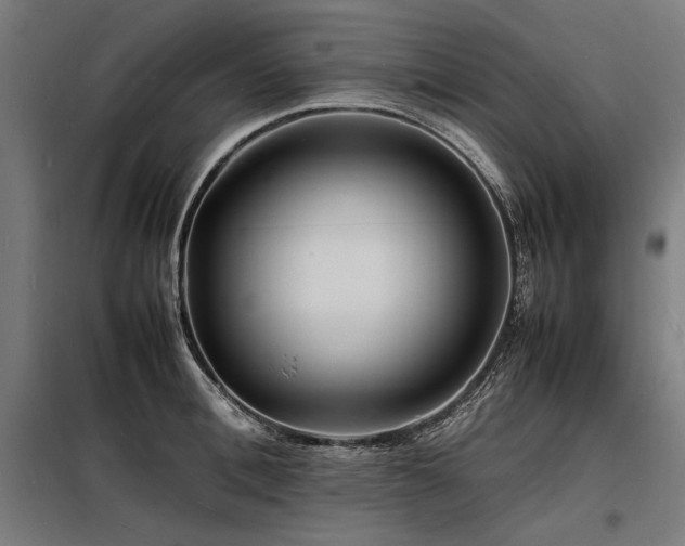 X0000098180996200804241217