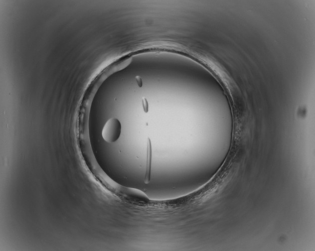 X0000098180999200804241217