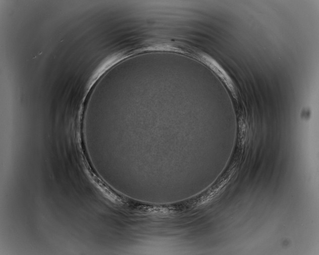 X0000098181002200804241217