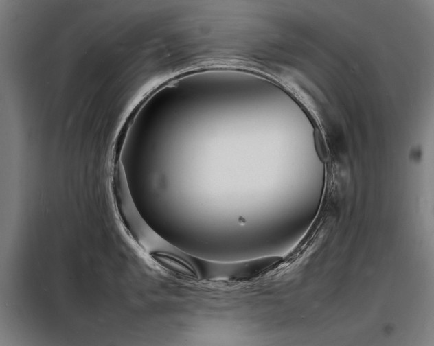 X0000098181005200804241217