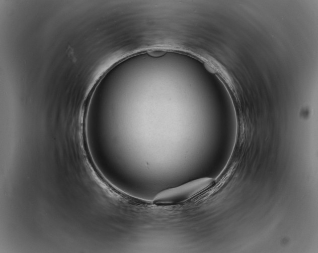 X0000098181006200804241217