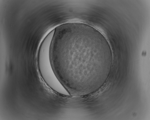X0000098181008200804241217