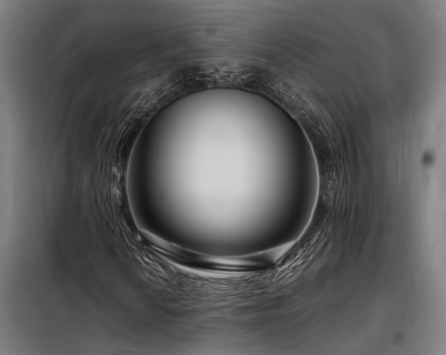 X0000098181010200804241216