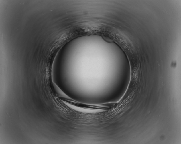 X0000098181012200804241216