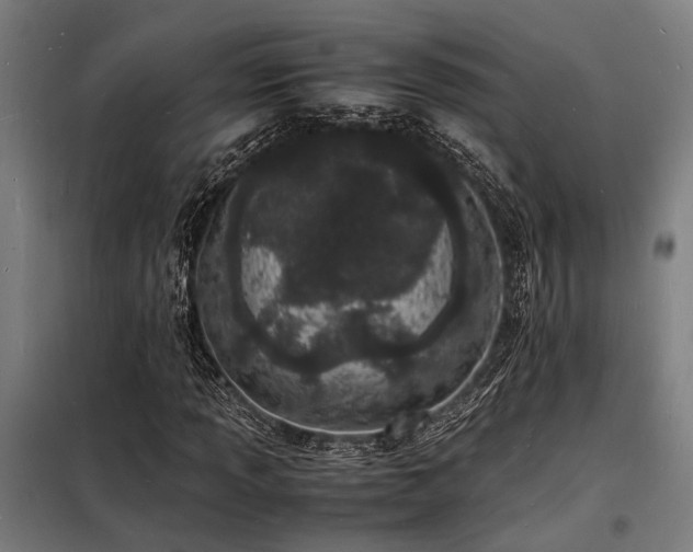 X0000098181013200804241216