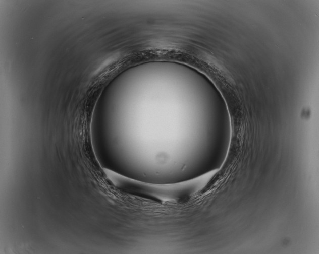X0000098181014200804241216