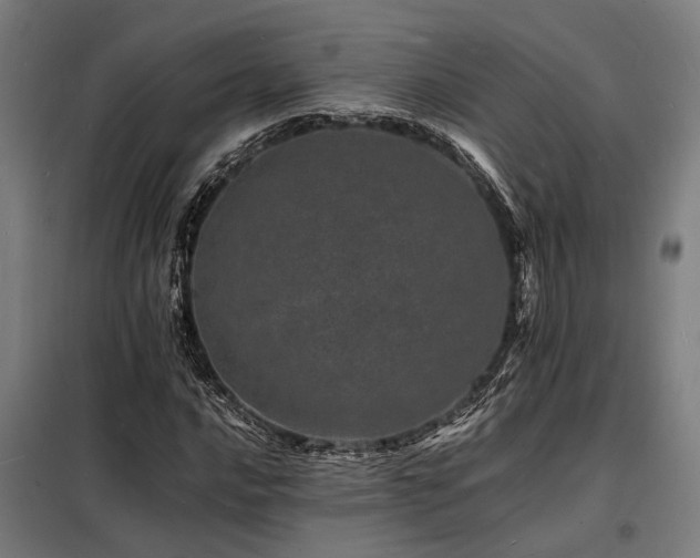 X0000098181016200804241216