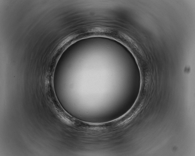 X0000098181017200804241216