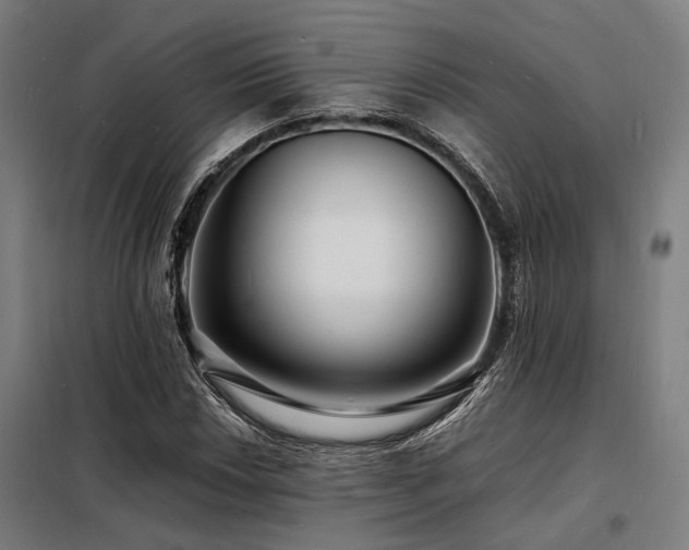 X0000098181018200804241216