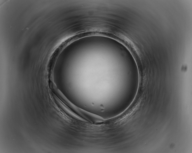 X0000098181019200804241216
