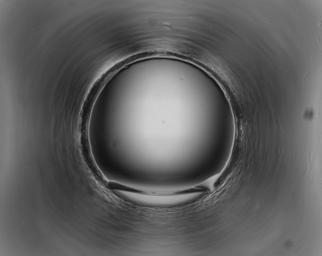 X0000098181020200804241216