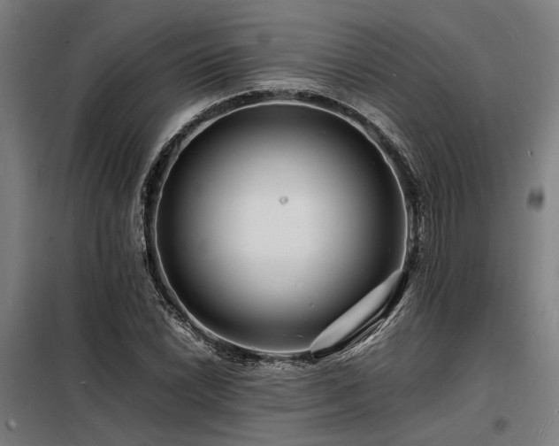 X0000098181022200804241216