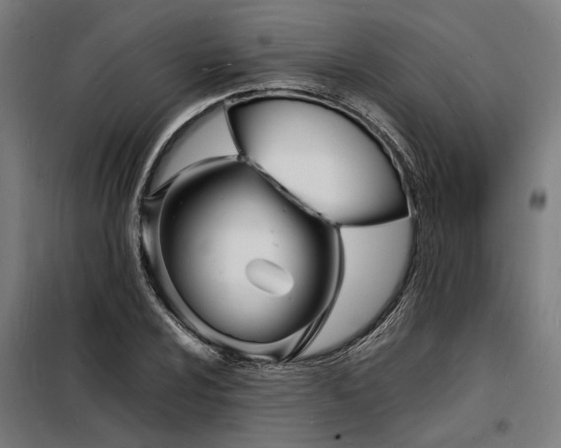 X0000098181024200804241216