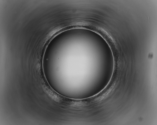 X0000098181025200804241216