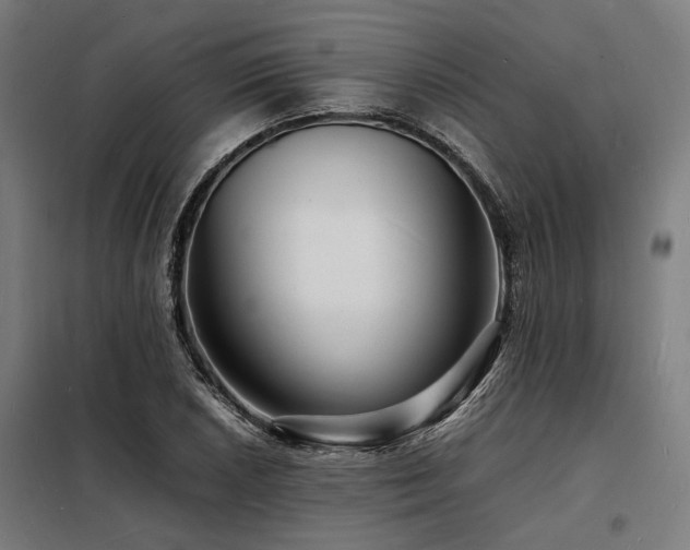 X0000098181026200804241217