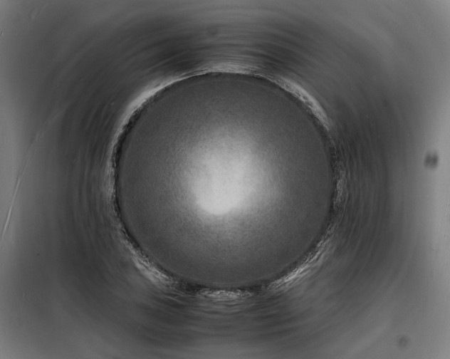 X0000098181027200804241217