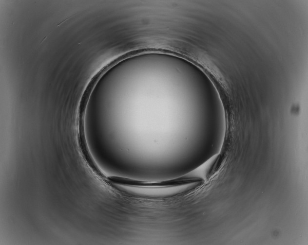 X0000098181028200804241217