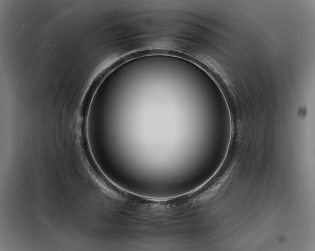 X0000098181029200804241217