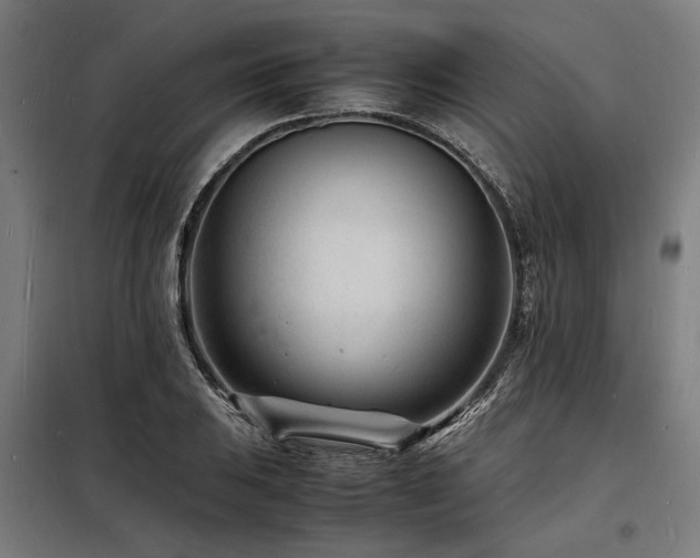 X0000098181031200804241217
