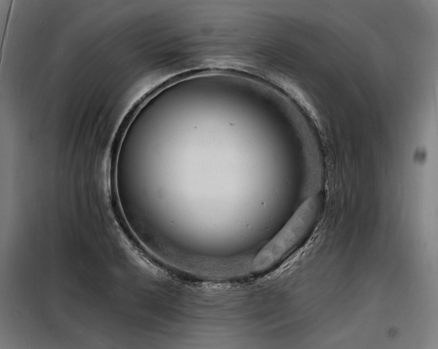 X0000098181032200804241217