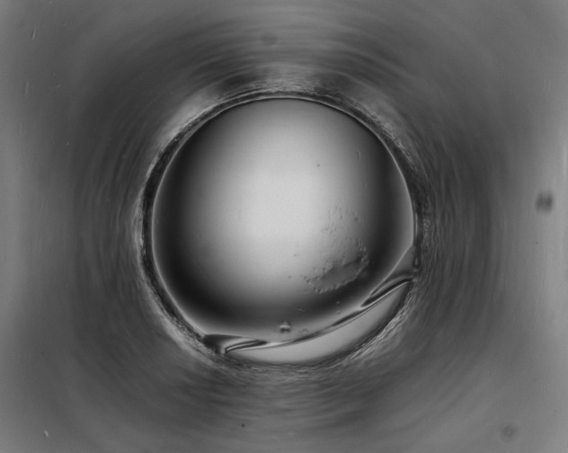 X0000098181034200804241217