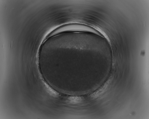 X0000098181037200804241217